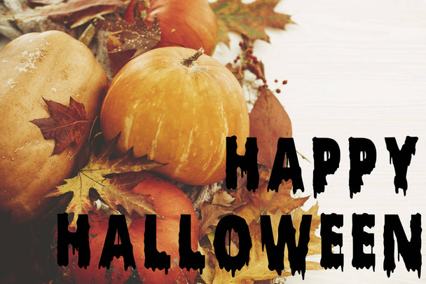 Happy Halloween bloody text on pumpkins in fall leaves, berries, nuts, acorns on sweater and rustic white wood. Cozy autumn image. Seasons greetings card. - Фото, зображення