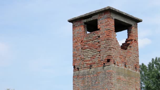 2 in 1 Antica torre di avvistamento abbandonata ricoperta di vegetazione erbacea
 - Filmati, video