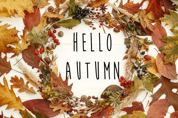 Hallo leggen herfst tekst op herfst krans plat. Herfstbladeren in cirkel met bessen, noten, eikels, bloemen, kruiden op witte achtergrond. Seizoenen-wenskaart. - Foto, afbeelding