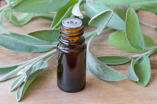 A bottle of essential oil with fresh sage twigs - Photo, Image