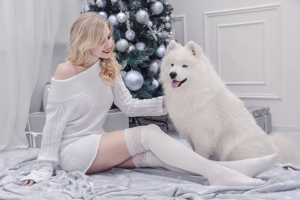 schöne Blondine in weißen Kleidern mit einem weißen Husky auf dem Hintergrund des Weihnachtsbaums - Foto, Bild
