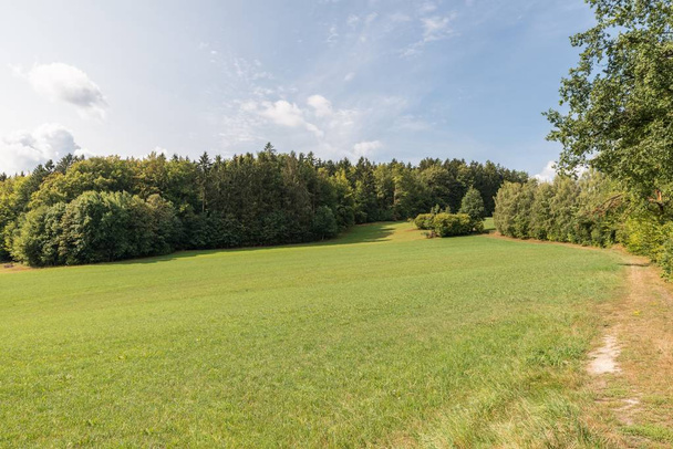 Krajobraz w bawarskim lesie, Niemcy - Zdjęcie, obraz