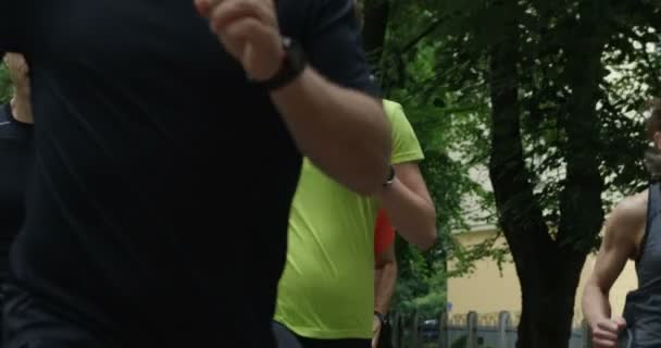 Bir grup koşucu şehir parkında birlikte koşarken arkadan görülmüş. - Video, Çekim