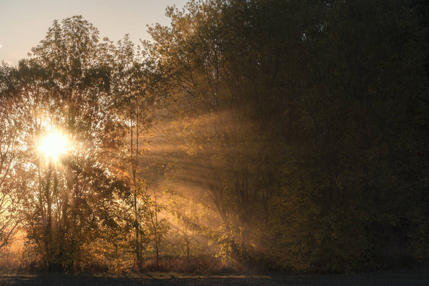 Ανατολή φθινόπωρο τοπίο με τον ήλιο διάτρηση μέσα από ομίχλη και δέντρα, διαφωτιστική με τις ακτίνες του στο δάσος, σε μια ηλιόλουστη ημέρα του Οκτωβρίου, στη Γερμανία. - Φωτογραφία, εικόνα