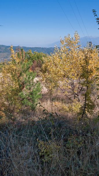 Удивительный осенний пейзаж Ruen Mountain- северная часть горы Влахина, Кюстендил, Болгария
 - Фото, изображение