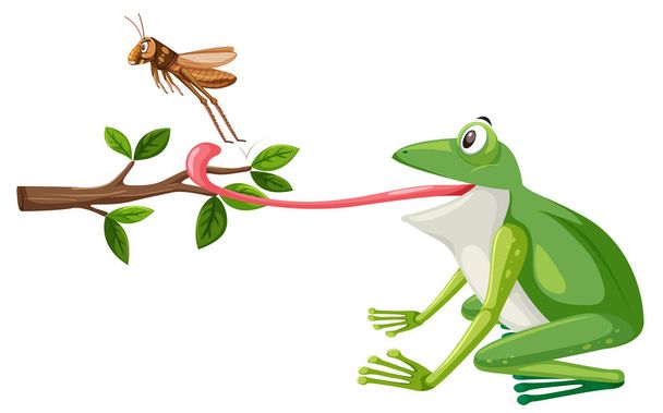 Een kikker proberen te eten de sprinkhaan illustratie - Vector, afbeelding