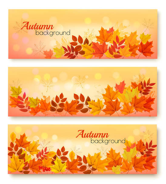 Three Autumn Sale Banners With Colorful Leaves. Layered Vector - Vector, Image