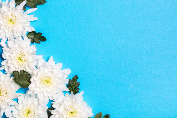 Λευκά λουλούδια πάνω από το μπλε φόντο. Επίπεδη lay, κορυφαία προβολή.  - Φωτογραφία, εικόνα
