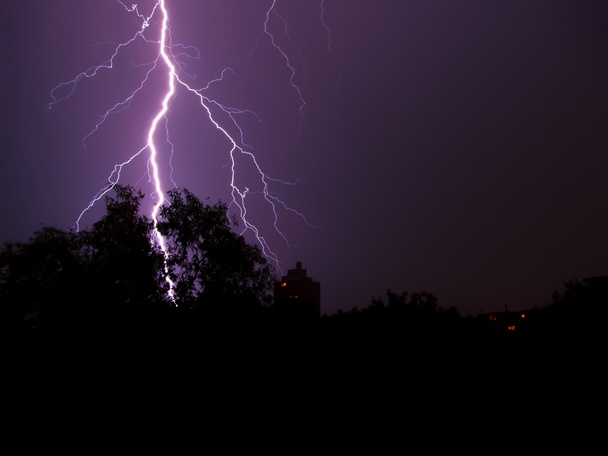 Lightning and tree - Фото, зображення