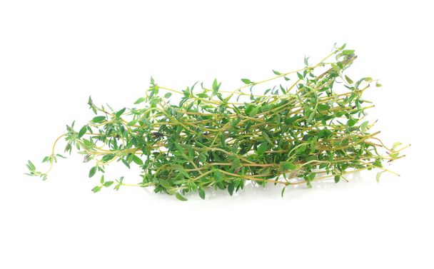 Thym herbe isolée sur fond blanc
 - Photo, image
