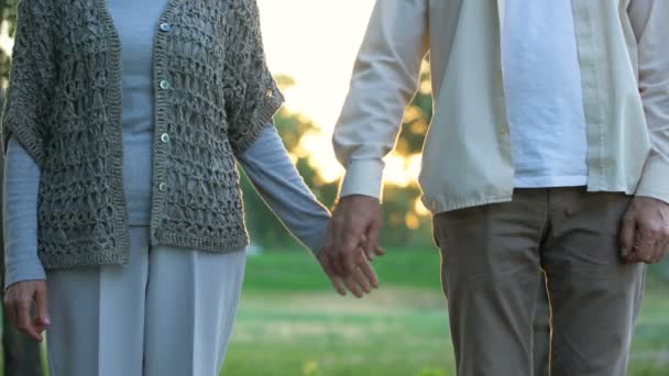 Old loving couple holding hands and walking in park, togetherness and care - Video