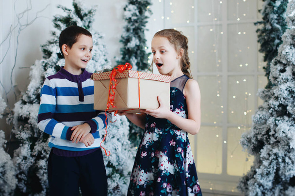 Hermano y hermana se dan una caja de regalo cerca del árbol de Navidad
. - Foto, Imagen