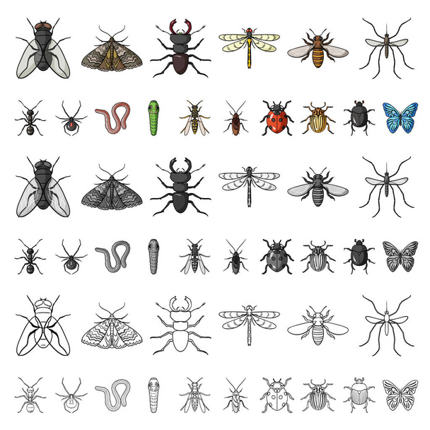 Different kinds of insects cartoon icons in set collection for design. Insect arthropod vector symbol stock web illustration. - Vector, afbeelding