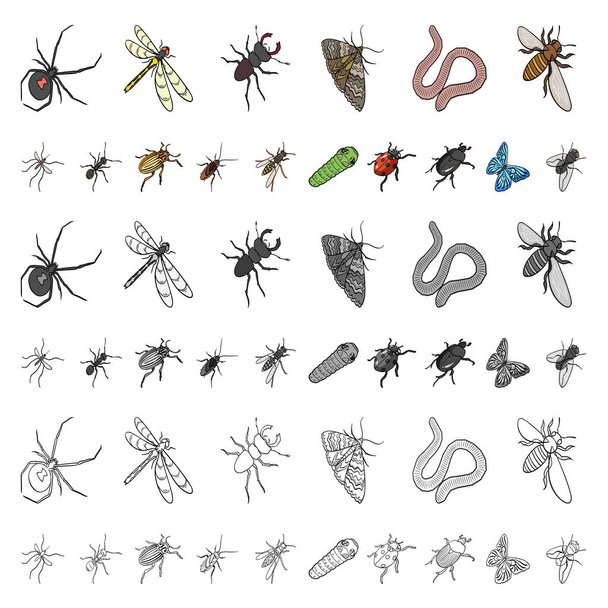 Different kinds of insects cartoon icons in set collection for design. Insect arthropod vector isometric symbol stock web illustration. - ベクター画像