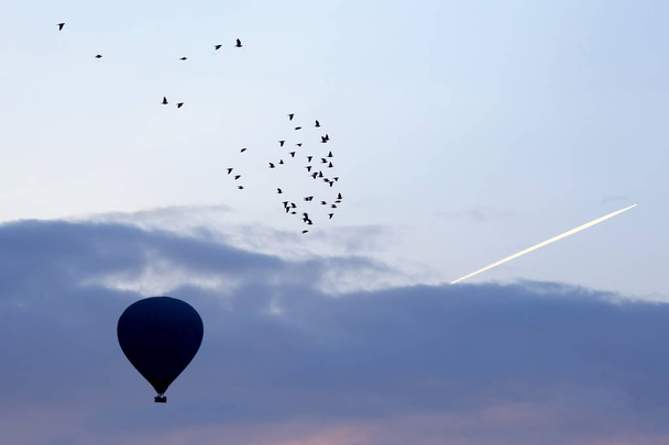globos con personas volando en el fondo de una bandada de aves en el cielo del amanecer de Capadocia
 - Foto, imagen
