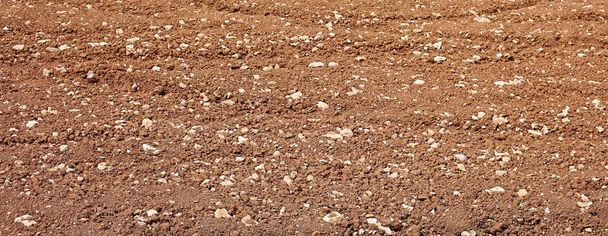 brown background of plowed field and some stones - Photo, Image