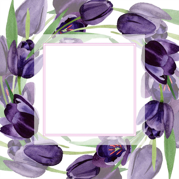 Aquarel zwarte tulpen bloem. Floral botanische bloem. Frame grens ornament vierkant. Aquarelle wildflower voor achtergrond, textuur, wrapper patroon, frame of rand. - Foto, afbeelding