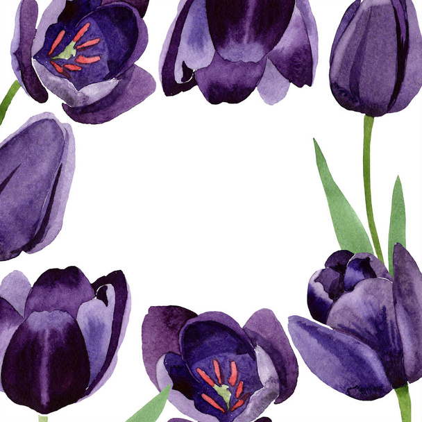 Watercolor black tulips flower. Floral botanical flower. Frame border ornament square. Aquarelle wildflower for background, texture, wrapper pattern, frame or border. - Fotó, kép