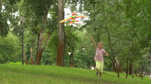 Little boy flying kite in park, happy childhood, freedom inspiration, slow-mo - Video