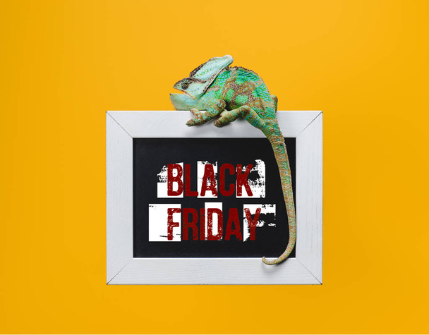 beautiful green chameleon on blackboard with black friday sign isolated on yellow - Photo, Image