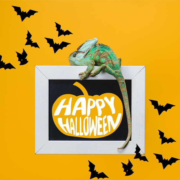 exotic chameleon on blackboard with pumpkin and happy halloween sign isolated on yellow with bats - Photo, Image