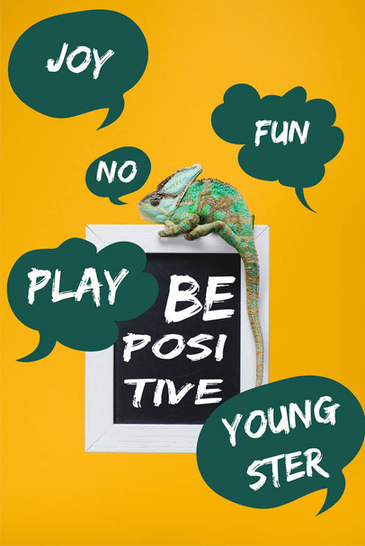 colorful chameleon on blackboard with "be positive" lettering isolated on yellow with play, joy, fun, youngster signs - Photo, Image