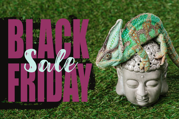 beautiful bright green chameleon sitting on Buddha head with black friday sale - Foto, afbeelding