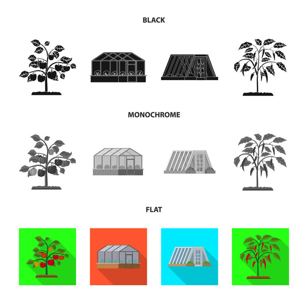 Vektorové konstrukce skleníku a rostlin znamení. Kolekce ze skleníku a zahradní vektorové ilustrace. - Vektor, obrázek