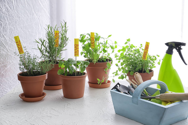 Pots avec herbes aromatiques fraîches et équipement de jardinage sur table blanche
 - Photo, image