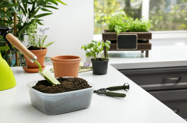 Recipiente de plástico com solo e equipamento de jardinagem na mesa branca
 - Foto, Imagem