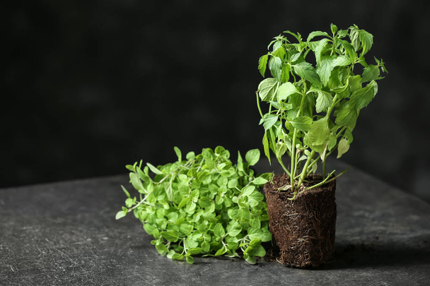 Fresh aromatic herbs on grey table - Photo, Image