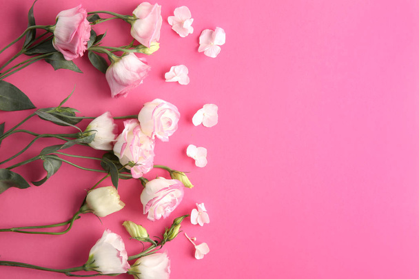 Beautiful flowers on pink background - Photo, Image