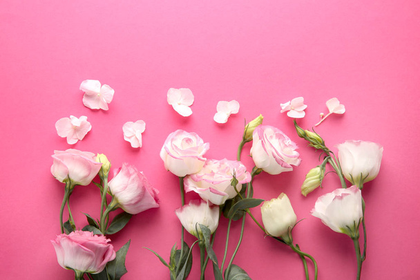 Beautiful flowers on pink background - Foto, Imagen
