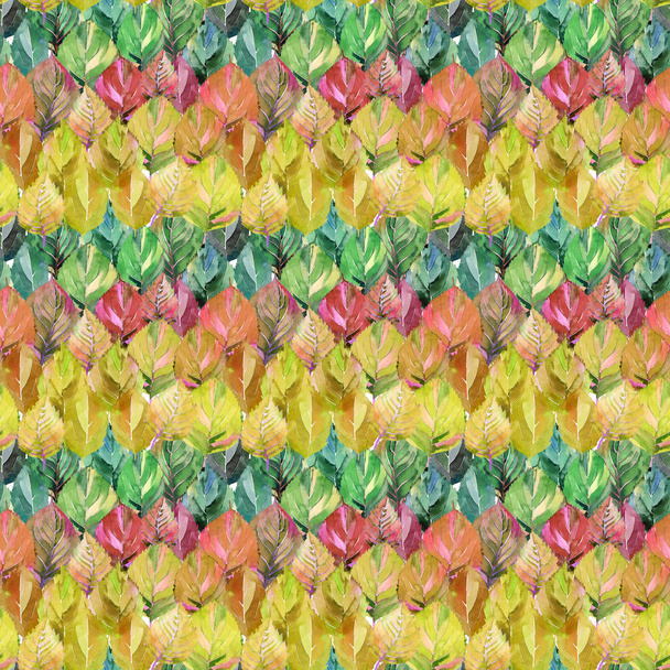 Lovely group of the autumn leaves like rainbow. Graphic bright floral herbal autumn orange yellow leaves pattern watercolor hand sketch. Perfect for textile, wallpapers, wrapping paper - Foto, Bild