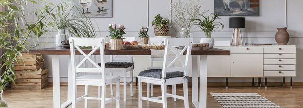 Panorama of white chairs at wooden table in dining room interior with cupboard and flowers. Real photo - Foto, immagini