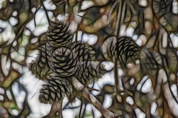 Detailní záběr šiška na větve stromu - Fotografie, Obrázek
