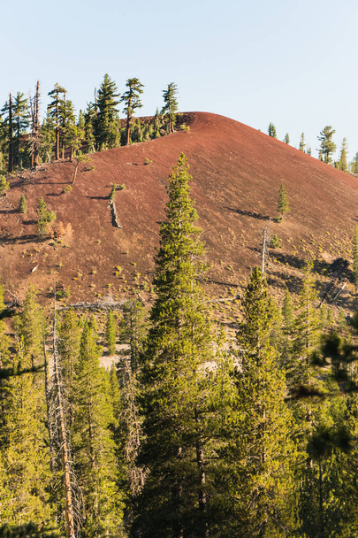 Červená kopule v lese nead mamut, Kalifornie podél John Muir Trail - Fotografie, Obrázek