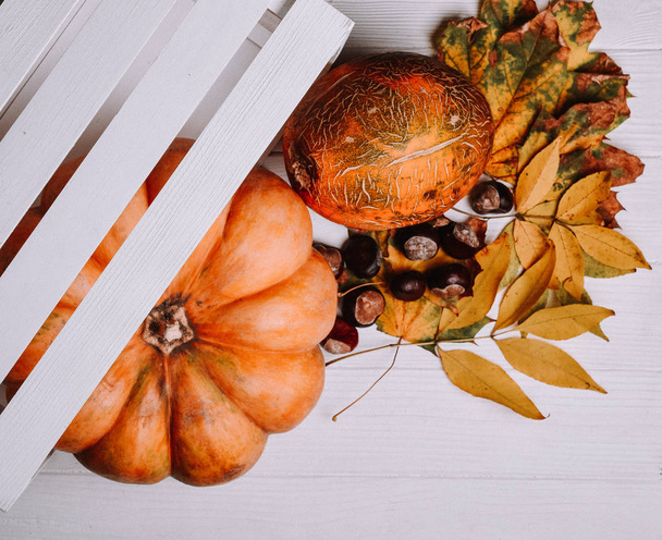 autumnal orange composition, table with pumpkin, horse chestnuts and leaves - Fotografie, Obrázek