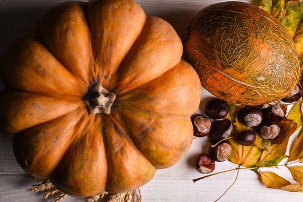 table with pumpkin, horse chestnuts, leaves and melon - Foto, Imagen