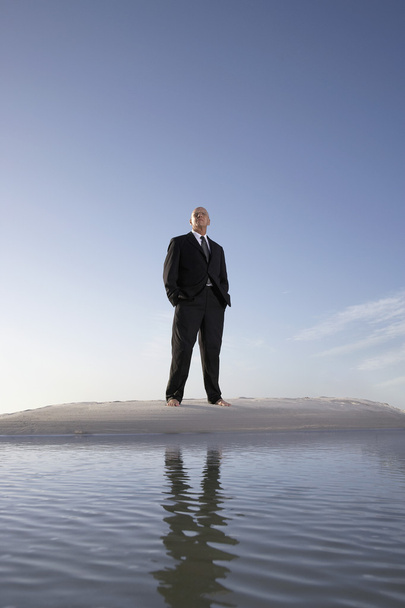 Businessman Standing On Beach - 写真・画像