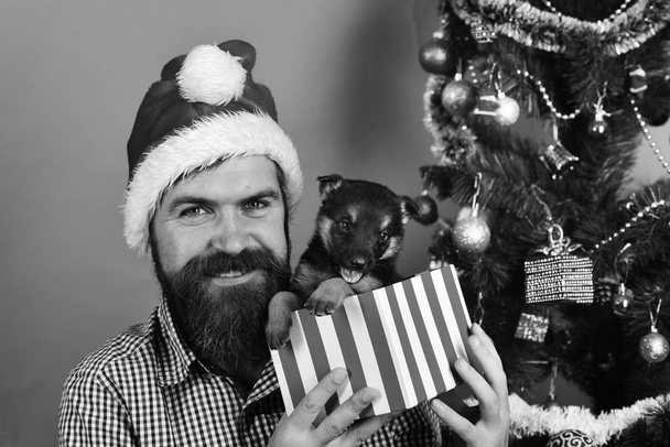 Man in xmas hat plays with puppy. Santa holds dog - Foto, afbeelding