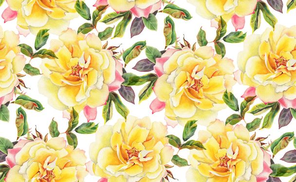 Безшовний візерунок з жовтими акварельними трояндами на білому тлі. Мальована вручну ілюстрація
.  - Фото, зображення