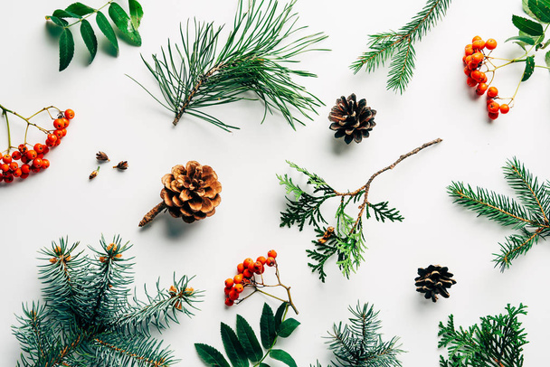 flat lay with winter arrangement of pine tree branches, cones and sea buckthorn on white backdrop - Photo, Image