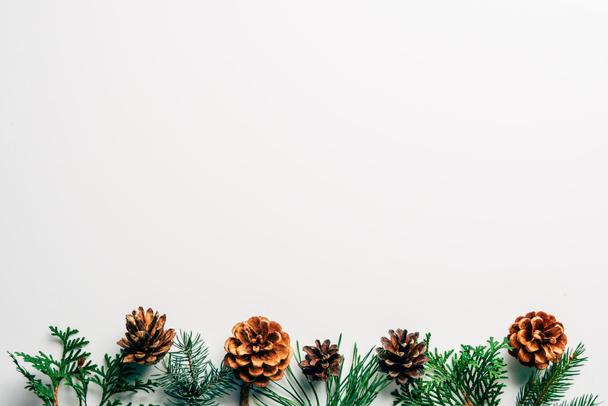 flat lay with green branches and pine cones arranged on white backdrop - 写真・画像