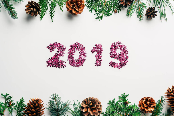 flat lay with 2019 year sign made of pink confetti, pine tree branches and cones on white background - Fotoğraf, Görsel