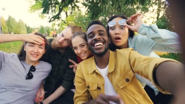 Grupo multiétnico de jovens afro-americanos, asiáticos e caucasianos está tomando selfie no piquenique com bebidas olhando para a câmera e rindo se divertindo
. - Filmagem, Vídeo