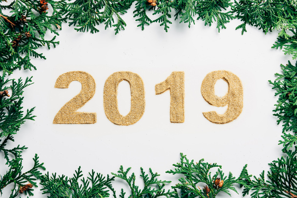 top view of 2019 year sign made of golden glitters and pine branches on white backdrop - Valokuva, kuva