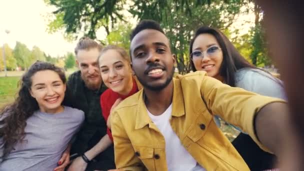 Happy vrienden zijn het maken van online video-oproep camera kijken, praten en lachen terwijl Afro-Amerikaanse man apparaat met camera tijdens picknick in het park houdt. - Video