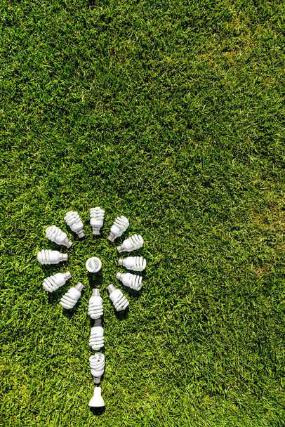 Enerji verimli Işık Ampüller çimenlerin üzerinde. Yeşil enerji kavramı kaynağıdır - Fotoğraf, Görsel