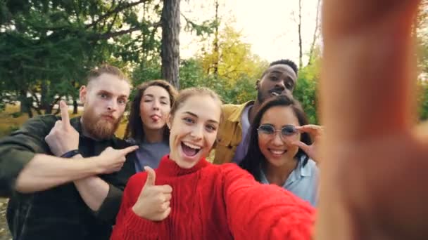 Oogpunt shot van jonge vrouw houden apparaat met camera en selfie te nemen met de multi-etnische groep vrienden in park in het najaar. Fotografie en mensen concept. - Video
